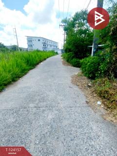 ขายที่ดิน เนื้อที่ 250 ตารางวา อ.พานทอง ชลบุรี-202510171252561760680376407.jpg