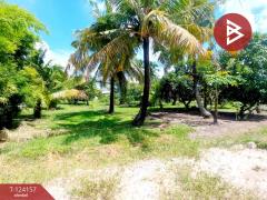 ขายที่ดิน เนื้อที่ 250 ตารางวา อ.พานทอง ชลบุรี-202510171252561760680376927.jpg