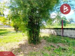 ขายที่ดิน เนื้อที่ 250 ตารางวา อ.พานทอง ชลบุรี-202510171252571760680377458.jpg