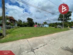 ขายที่ดิน เนื้อที่ 192.5 ตารางวา หนองน้ำใส บ้านไผ่ ขอนแก่น-202510171301251760680885861.jpg