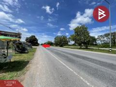 ขายที่ดิน เนื้อที่ 192.5 ตารางวา หนองน้ำใส บ้านไผ่ ขอนแก่น-202510171301271760680887944.jpg