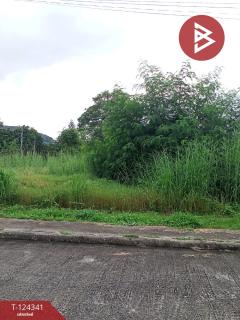 ขายที่ดิน 2 แปลง เนื้อที่รวม 2 งาน 10.9 ตารางวา โครงการเซนต์แอนดรูว์วิลเลจ ระยอง-202510171343041760683384906.jpg