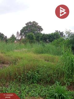 ขายที่ดิน 2 แปลง เนื้อที่รวม 2 งาน 10.9 ตารางวา โครงการเซนต์แอนดรูว์วิลเลจ ระยอง-202510171343051760683385436.jpg