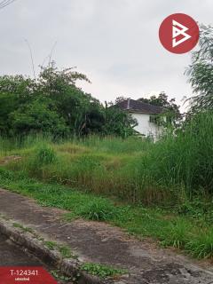 ขายที่ดิน 2 แปลง เนื้อที่รวม 2 งาน 10.9 ตารางวา โครงการเซนต์แอนดรูว์วิลเลจ ระยอง-202510171343051760683385965.jpg