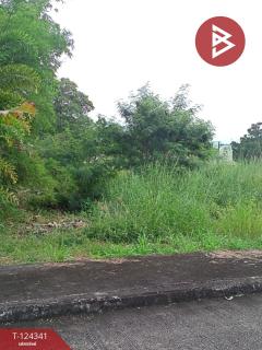 ขายที่ดิน 2 แปลง เนื้อที่รวม 2 งาน 10.9 ตารางวา โครงการเซนต์แอนดรูว์วิลเลจ ระยอง-202510171343061760683386528.jpg