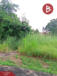 ขายที่ดิน 2 แปลง เนื้อที่รวม 2 งาน 10.9 ตารางวา โครงการเซนต์แอนดรูว์วิลเลจ ระยอง-202510171343071760683387054.jpg