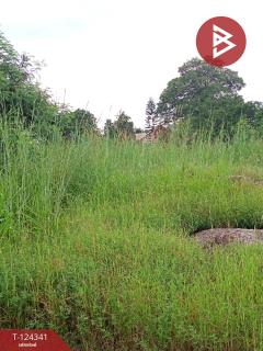 ขายที่ดิน 2 แปลง เนื้อที่รวม 2 งาน 10.9 ตารางวา โครงการเซนต์แอนดรูว์วิลเลจ ระยอง-202510171343071760683387699.jpg