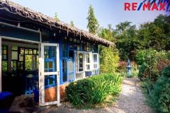 มาแล้ว! [New Listing!] A Riverside Eden Retreat ที่ [ The Elephant Treehouse : บ้านต้นไม้ กาญจนบุรี ] -202510171357101760684230610.jpg