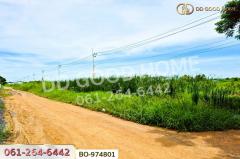 BO-974801 ที่ดินคลองสอง 1 ไร่ 19.1 ตร.ว. ปทุมธานี ใกล้ฟิวเจอร์พาร์ค รังสิต-202510171405111760684711816.jpg