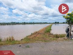 ขายที่ดิน เนื้อที่ 14 ไร่ 3 งาน บางขวัญ ฉะเชิงเทรา