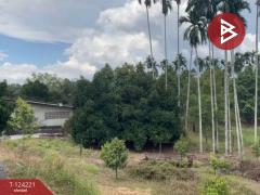  ขายที่ดินพร้อมสิ่งปลูกสร้าง เนื้อที่ 2 ไร่ 1 งาน 29 ตร.วา เขาสมิง ตราด-202510171416351760685395824.jpg