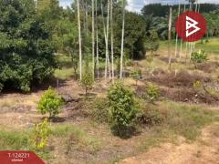  ขายที่ดินพร้อมสิ่งปลูกสร้าง เนื้อที่ 2 ไร่ 1 งาน 29 ตร.วา เขาสมิง ตราด-202510171416361760685396904.jpg