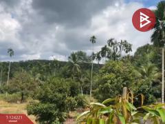  ขายที่ดินพร้อมสิ่งปลูกสร้าง เนื้อที่ 2 ไร่ 1 งาน 29 ตร.วา เขาสมิง ตราด-202510171416371760685397437.jpg