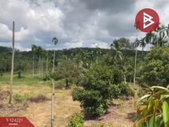  ขายที่ดินพร้อมสิ่งปลูกสร้าง เนื้อที่ 2 ไร่ 1 งาน 29 ตร.วา เขาสมิง ตราด-202510171416371760685397989.jpg