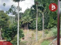  ขายที่ดินพร้อมสิ่งปลูกสร้าง เนื้อที่ 2 ไร่ 1 งาน 29 ตร.วา เขาสมิง ตราด-202510171416381760685398543.jpg