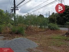  ขายที่ดินพร้อมสิ่งปลูกสร้าง เนื้อที่ 2 ไร่ 1 งาน 29 ตร.วา เขาสมิง ตราด-202510171416401760685400134.jpg