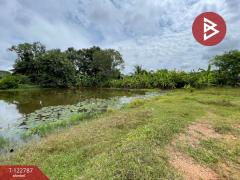 ขายที่ดิน เนื้อที่ 3 งาน 20 ตร.วา บ้านไผ่ ขอนแก่น-202510171427471760686067800.jpg