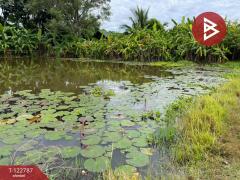 ขายที่ดิน เนื้อที่ 3 งาน 20 ตร.วา บ้านไผ่ ขอนแก่น-202510171427481760686068334.jpg