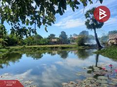 ขายที่ดิน เนื้อที่ 3 งาน 20 ตร.วา บ้านไผ่ ขอนแก่น-202510171427491760686069423.jpg