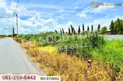 BO-974802 ที่ดินคลองสอง 377.7 ตร.ว. ปทุมธานี ใกล้ฟิวเจอร์พาร์ค รังสิต-202510171433261760686406799.jpg