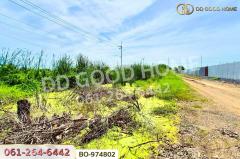 BO-974802 ที่ดินคลองสอง 377.7 ตร.ว. ปทุมธานี ใกล้ฟิวเจอร์พาร์ค รังสิต-202510171433291760686409114.jpg