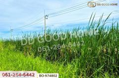BO-974802 ที่ดินคลองสอง 377.7 ตร.ว. ปทุมธานี ใกล้ฟิวเจอร์พาร์ค รังสิต-202510171433291760686409693.jpg