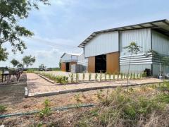 ขายโรงงาน พร้อมที่ดิน พร้อมใบ รง.4 บางน้ำเปรี้ยว เนื้อที่ดิน ขนาด 24-3-19 ไร่ 