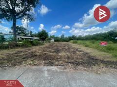 ขายที่ดิน เนื้อที่ 2 งาน อ.บ้านไผ่ ขอนแก่น-202510171502001760688120744.jpg