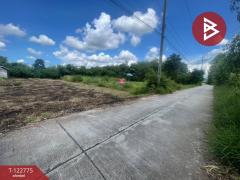 ขายที่ดิน เนื้อที่ 2 งาน อ.บ้านไผ่ ขอนแก่น-202510171502011760688121873.jpg