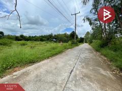 ขายที่ดิน เนื้อที่ 2 งาน อ.บ้านไผ่ ขอนแก่น-202510171502021760688122952.jpg