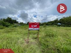 ขายที่ดิน เนื้อที่ 2 งาน อ.บ้านไผ่ ขอนแก่น-202510171502041760688124390.jpg