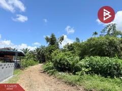  ขายที่ดิน เนื้อที่ 56.5 ตารางวา ท่าแซะ ชุมพร