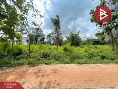 ขายที่ดินแปลงสวย เนื้อที่ 1 ไร่ 54 ตารางวา ตำบลนาฝาย ชัยภูมิ-202510171532571760689977400.jpg