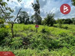 ขายที่ดินแปลงสวย เนื้อที่ 1 ไร่ 54 ตารางวา ตำบลนาฝาย ชัยภูมิ-202510171532581760689978467.jpg