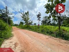 ขายที่ดินแปลงสวย เนื้อที่ 1 ไร่ 54 ตารางวา ตำบลนาฝาย ชัยภูมิ-202510171532591760689979316.jpg