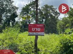 ขายที่ดินแปลงสวย เนื้อที่ 1 ไร่ 54 ตารางวา ตำบลนาฝาย ชัยภูมิ-202510171532591760689979856.jpg