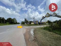 ขายที่ดินแปลงสวย เนื้อที่ 1 ไร่ 54 ตารางวา ตำบลนาฝาย ชัยภูมิ-202510171533001760689980391.jpg