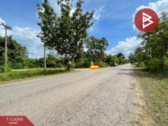 ขายที่ดินแปลงสวย เนื้อที่ 1 ไร่ 54 ตารางวา ตำบลนาฝาย ชัยภูมิ-202510171533021760689982258.jpg