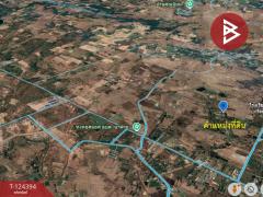 ขายที่ดินแปลงสวย เนื้อที่ 1 ไร่ 54 ตารางวา ตำบลนาฝาย ชัยภูมิ-202510171533041760689984740.jpg