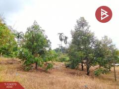 ขายที่ดิน เนื้อที่ 3 ไร่ 60 ตร.วา โป่งน้ำร้อน จันทบุรี-202510171552171760691137536.jpg