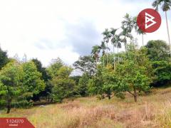 ขายที่ดิน เนื้อที่ 3 ไร่ 60 ตร.วา โป่งน้ำร้อน จันทบุรี-202510171552181760691138074.jpg