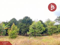 ขายที่ดิน เนื้อที่ 3 ไร่ 60 ตร.วา โป่งน้ำร้อน จันทบุรี-202510171552181760691138870.jpg