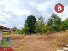 ขายที่ดิน เนื้อที่ 3 ไร่ 60 ตร.วา โป่งน้ำร้อน จันทบุรี-202510171552191760691139875.jpg