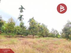 ขายที่ดิน เนื้อที่ 3 ไร่ 60 ตร.วา โป่งน้ำร้อน จันทบุรี-202510171552201760691140951.jpg