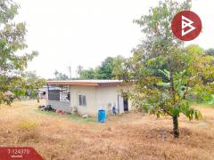 ขายที่ดิน เนื้อที่ 3 ไร่ 60 ตร.วา โป่งน้ำร้อน จันทบุรี-202510171552211760691141481.jpg