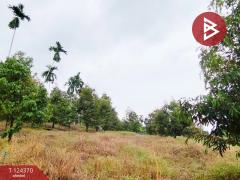 ขายที่ดิน เนื้อที่ 3 ไร่ 60 ตร.วา โป่งน้ำร้อน จันทบุรี-202510171552221760691142025.jpg