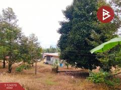 ขายที่ดิน เนื้อที่ 3 ไร่ 60 ตร.วา โป่งน้ำร้อน จันทบุรี-202510171552221760691142563.jpg