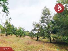 ขายที่ดิน เนื้อที่ 3 ไร่ 60 ตร.วา โป่งน้ำร้อน จันทบุรี-202510171552231760691143287.jpg