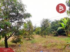 ขายที่ดิน เนื้อที่ 3 ไร่ 60 ตร.วา โป่งน้ำร้อน จันทบุรี-202510171552231760691143825.jpg