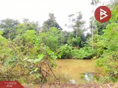 ขายที่ดิน เนื้อที่ 3 ไร่ 60 ตร.วา โป่งน้ำร้อน จันทบุรี-202510171552241760691144366.jpg